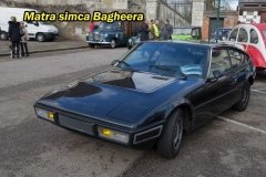 Mara simca bagheera